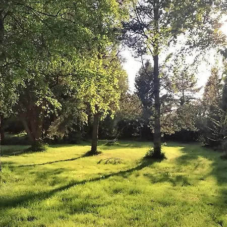 Domki Nad Morzem Cello Ostrowo  Esterno foto